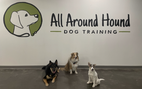 All Around Hound Dog Services