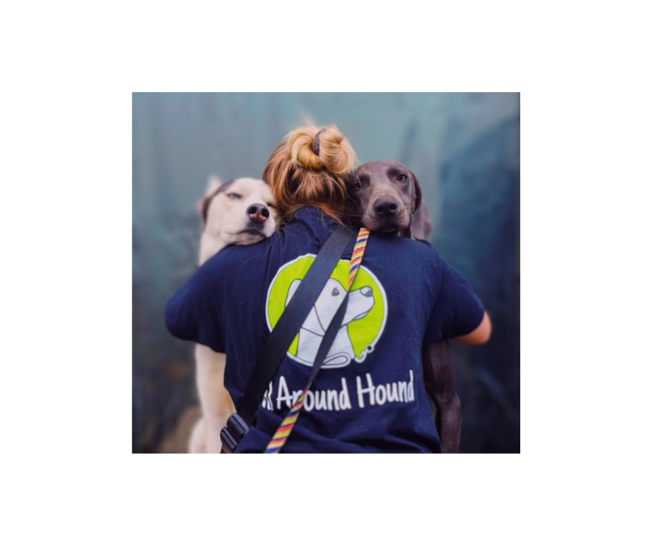 About Us All Around Hound Dog Services